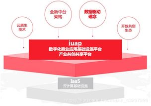 解讀企業數字化中臺的應用服務