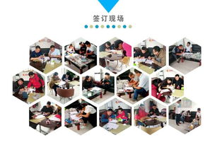 農用小型挖掘機實用指南 價格、圖片參數與應用服務詳解