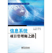 全國(guó)計(jì)算機(jī)技術(shù)與軟件專業(yè)技術(shù)資格（水平）考試用書 信息系統(tǒng)項(xiàng)目管理師之路——數(shù)據(jù)處理技術(shù)